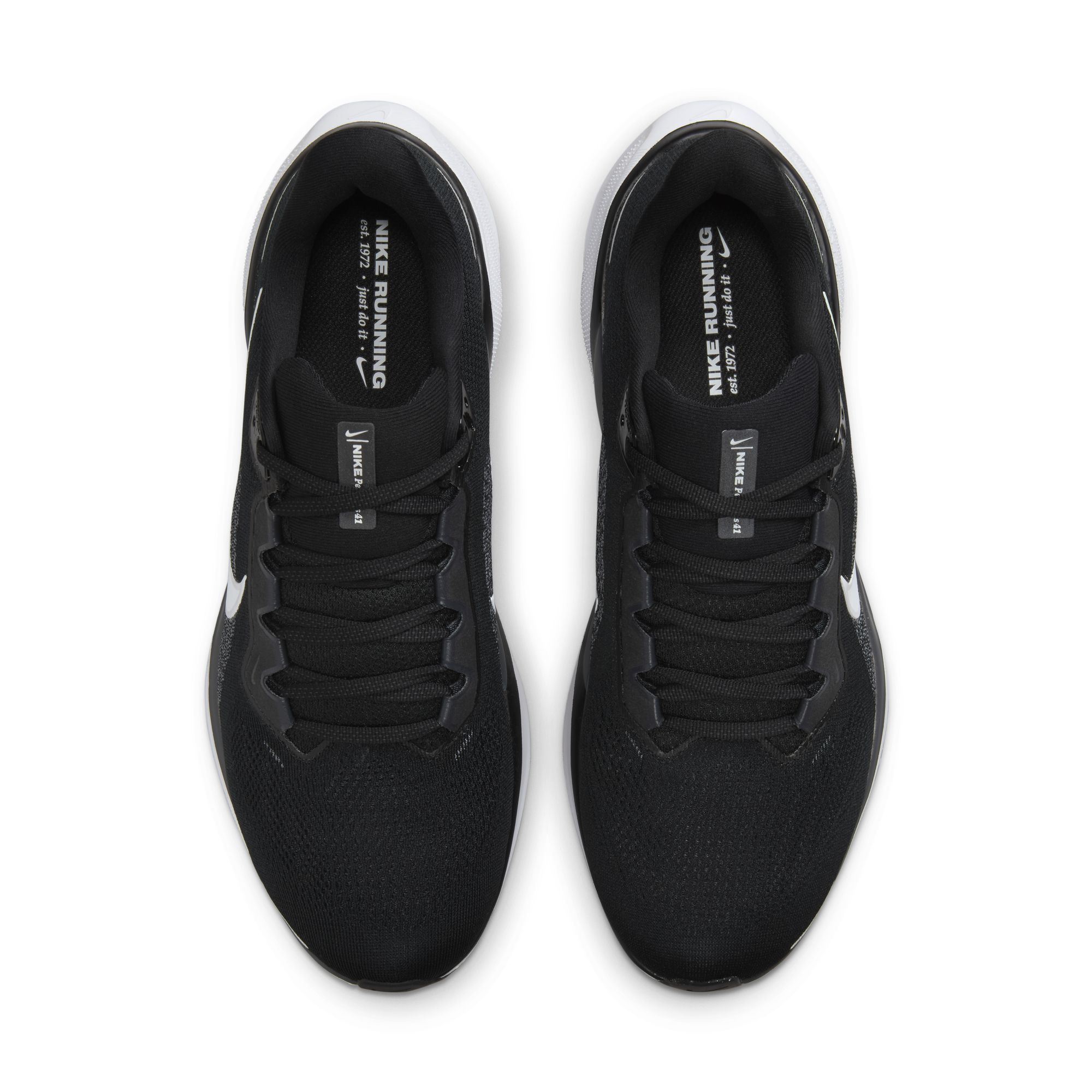AIR ZOOM PEGASUS 41