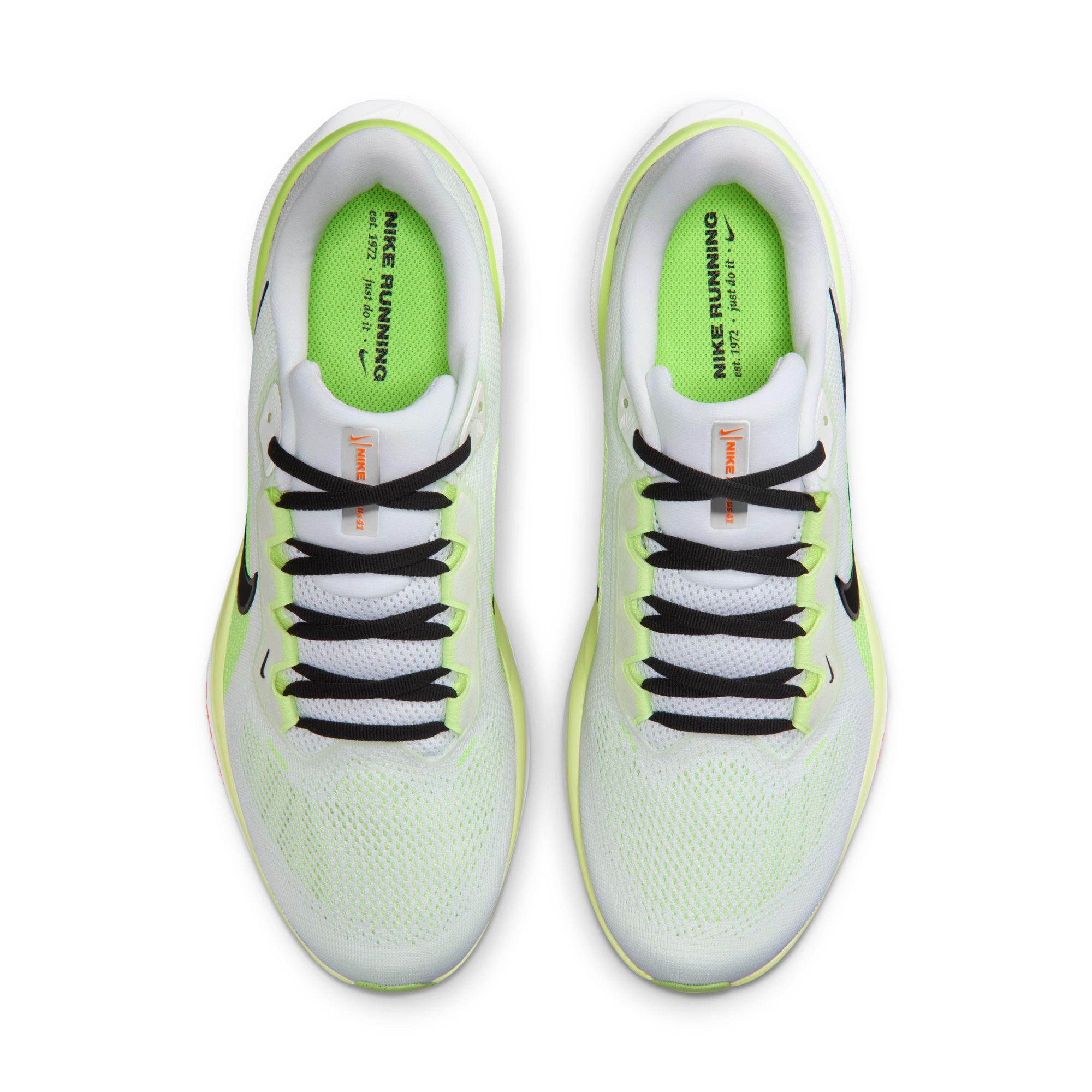 AIR ZOOM PEGASUS 41