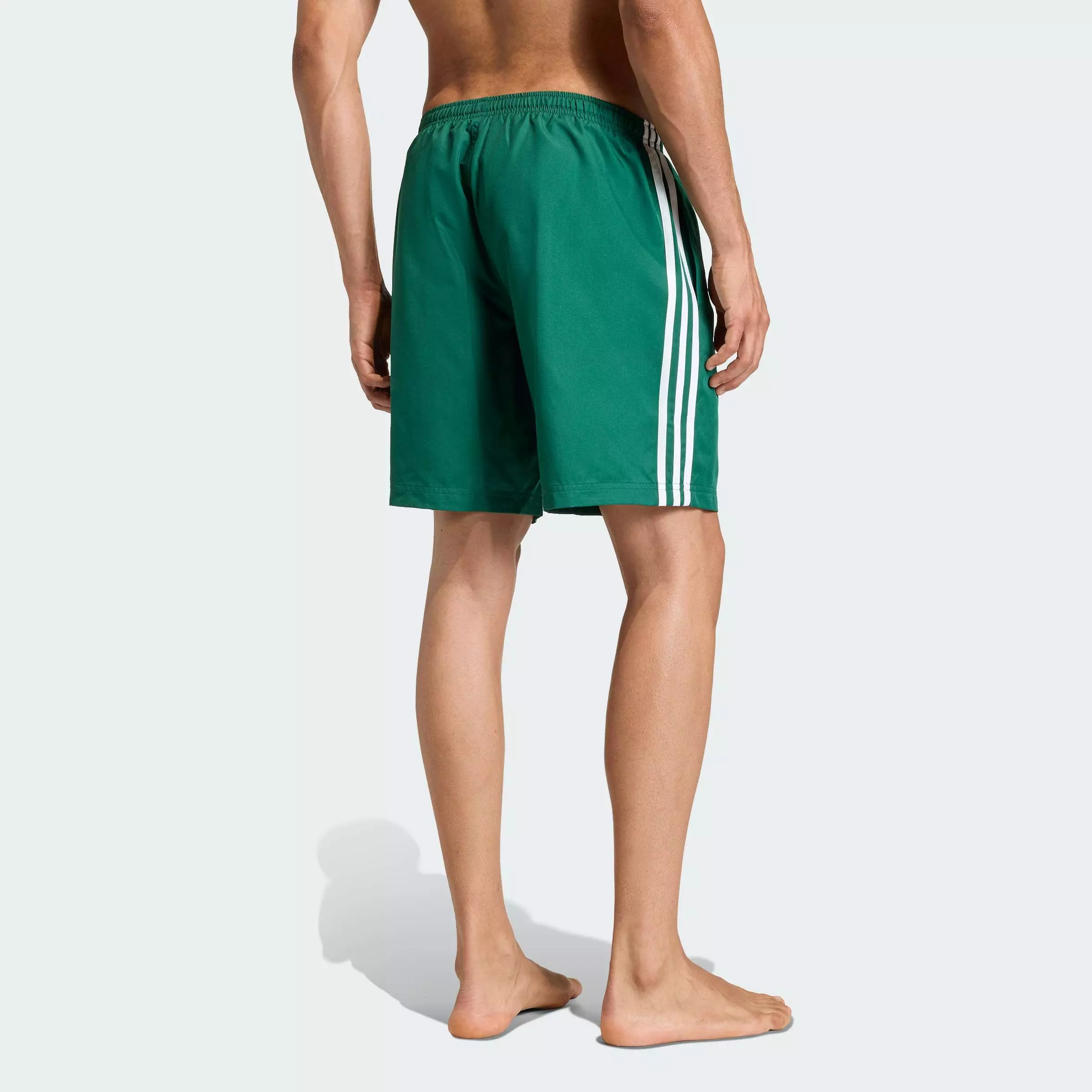 ADIC SWIMSH 8IN