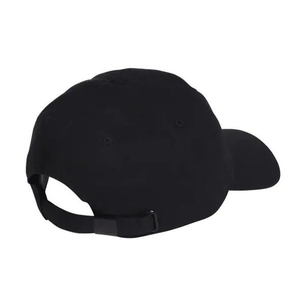 DAD CAP BIG LOG