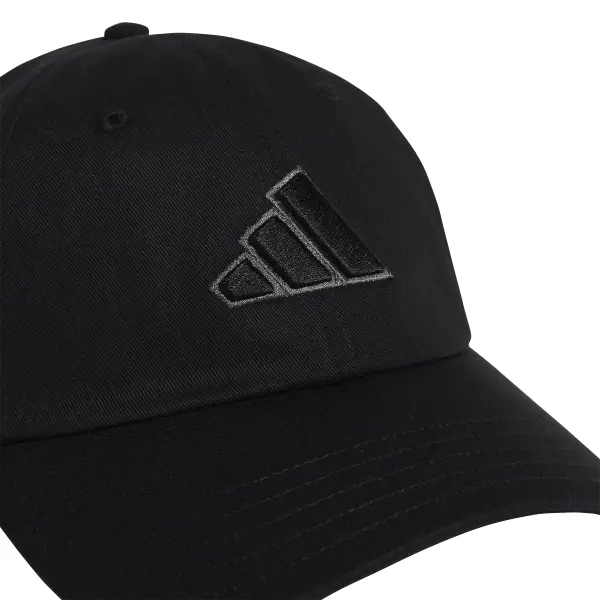 DAD CAP BIG LOG