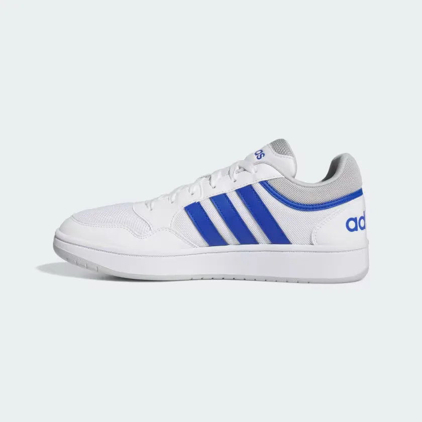 HOOPS 3.0 SUMMER